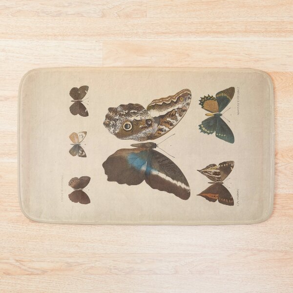 Item preview, Butterfly Vintage Scientific Drawing c:1890  designed and sold by joyousEarth.