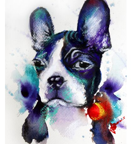 Boston Terrier: Stickers | Redbubble