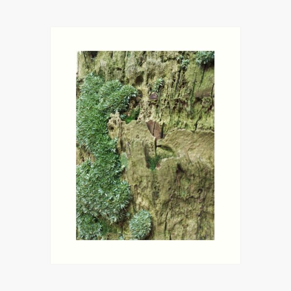 As though undersea... Art Print