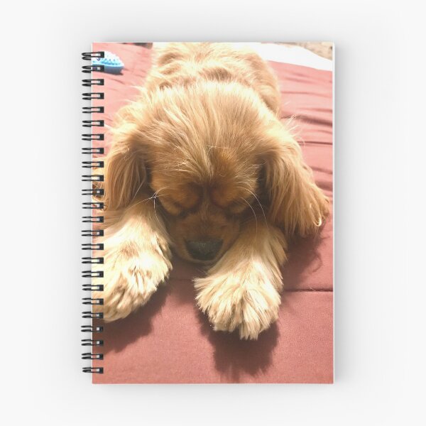 Item preview, Resting pup designed and sold by lpolitano.
