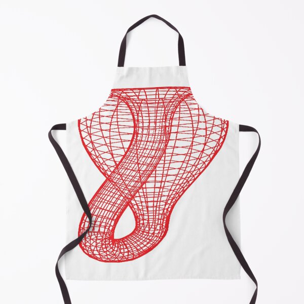 A two-dimensional representation of the Klein bottle immersed in three-dimensional space, #TwoDimensional, #representation, #KleinBottle, #immersed, #ThreeDimensional, #space Apron