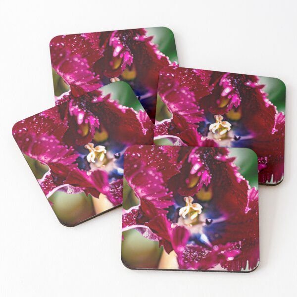 Item preview, Close-up of a black parrot tulip designed and sold by jillianbutolphphoto.