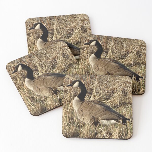 Item preview, Canadian Goose in wetlands designed and sold by cowgirltracie.