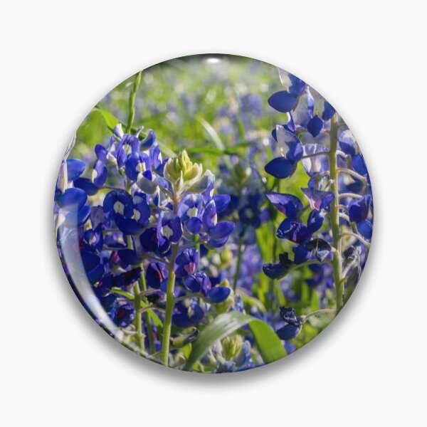 Item preview, Bluebonnets of Texas designed and sold by dobbysgifts.