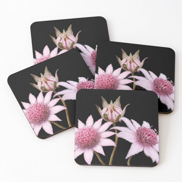 Item preview, Jaunty Pink Flannel Flowers designed and sold by Kestrelle.