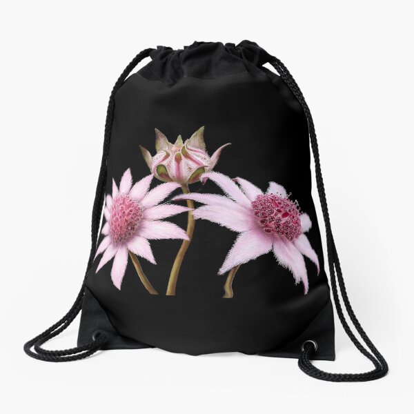 Item preview, Jaunty Pink Flannel Flowers designed and sold by Kestrelle.