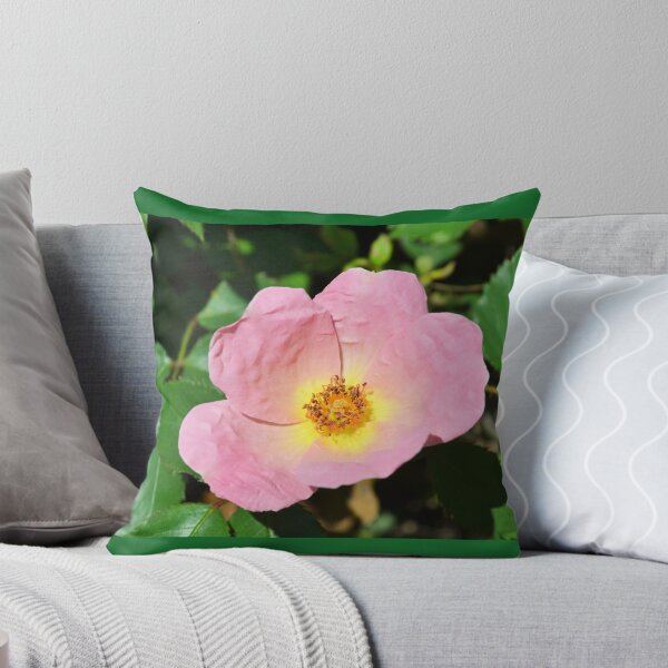 Item preview, Soft Pink Rose designed and sold by Kathleen Brant.