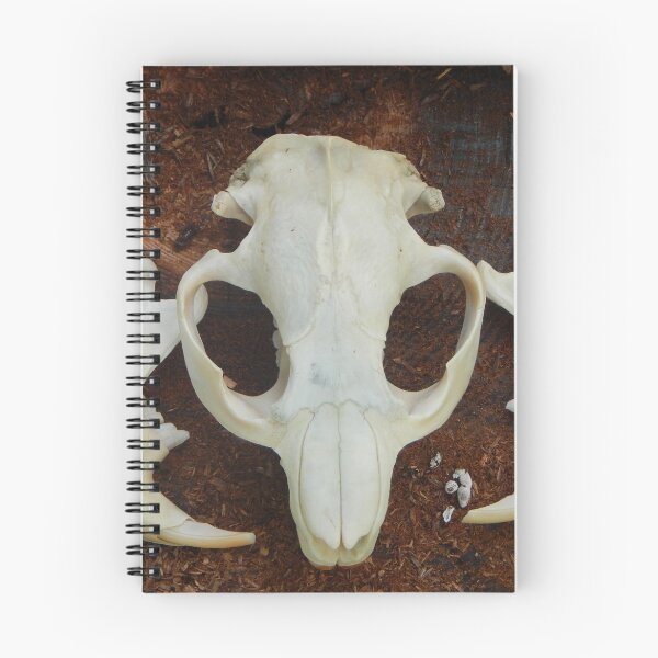 Item preview, Aquatic Bones designed and sold by Ashley Gagnon.