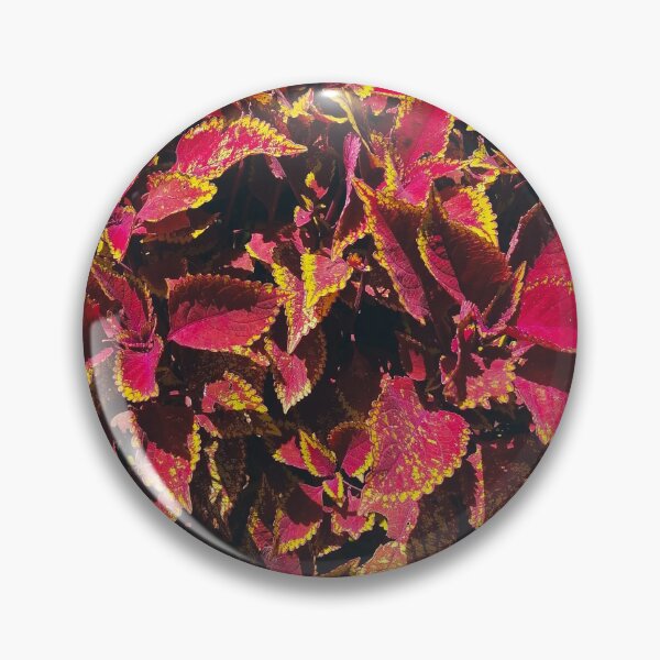 Item preview, Red Flowers Photography designed and sold by gloripardo.