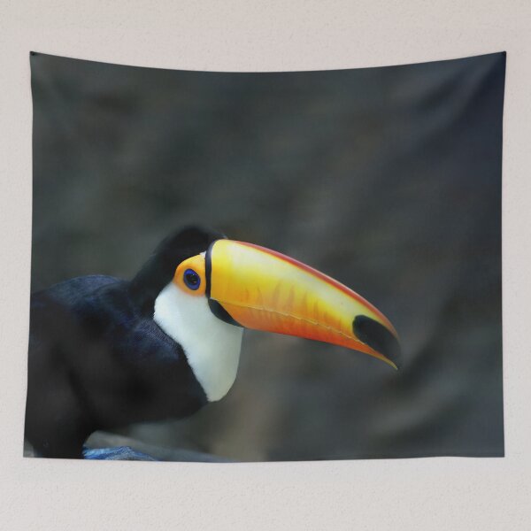 Item preview, Toucan designed and sold by Oliveirallan.