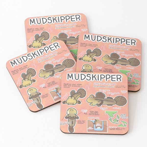 Item preview, Mudskipper in a nutshell designed and sold by whaletinyfish.
