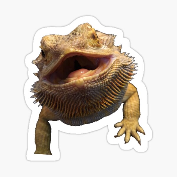 Item preview, Happy Bearded Dragon designed and sold by Mystic Creations.