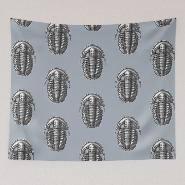 Item preview, Cambrian trilobite - Estaingia bilobata designed and sold by Katrina Kenny.