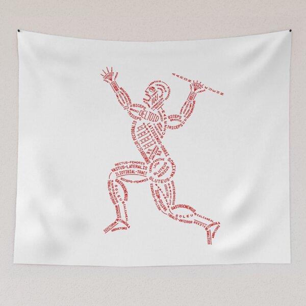 Item preview, Muscle scheme Latin muscle groups designed and sold by NeXore.