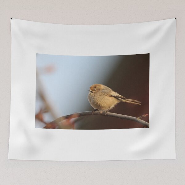 Item preview, Female bushtit designed and sold by Sandi Walmsley.