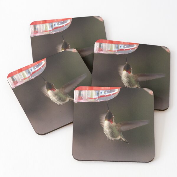 Item preview, Hummingbird feeding designed and sold by Sandi Walmsley.