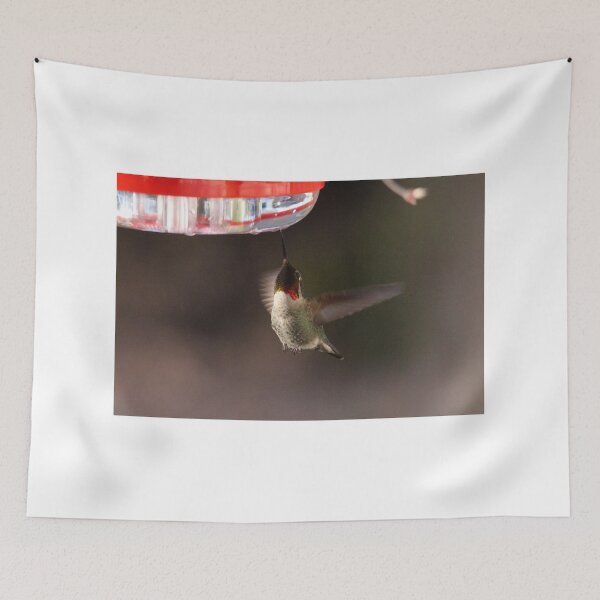Item preview, Hummingbird feeding designed and sold by Sandi Walmsley.