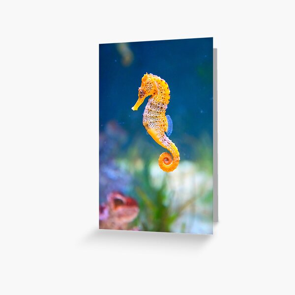 Vista previa del artículo con la obra «Caballito de mar amarillo», diseñado y vendido por OceansSupply.