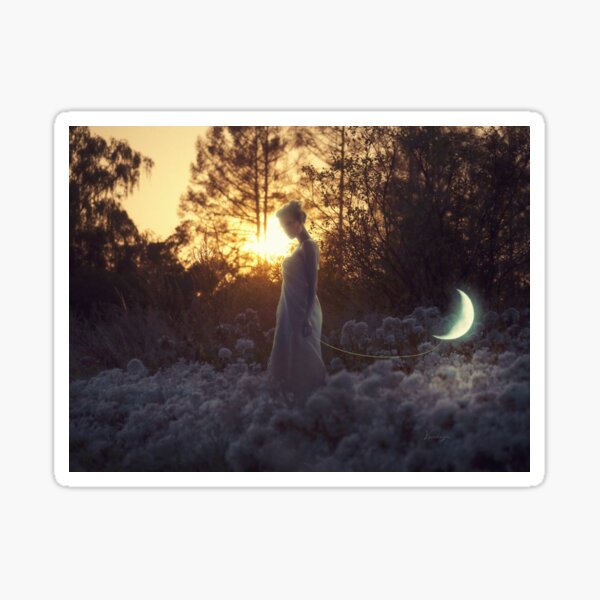 Young Pet Moon Sticker