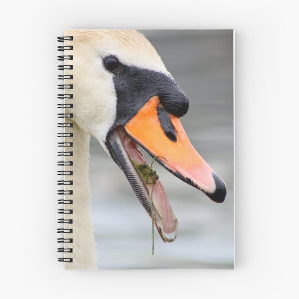 Item preview, Protective  designed and sold by GreyFeatherPhot.
