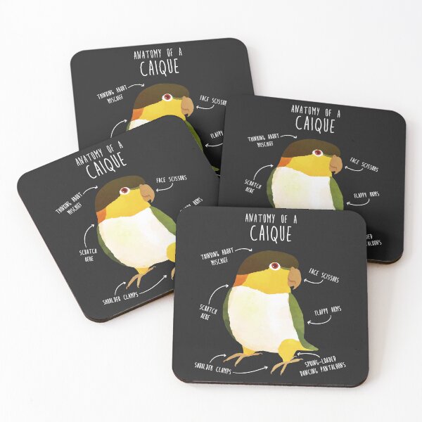 Item preview, Anatomy of a Black-Headed Caique designed and sold by Clara Hollins.
