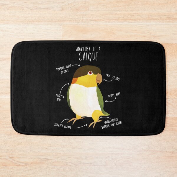 Item preview, Anatomy of a Black-Headed Caique designed and sold by Clara Hollins.