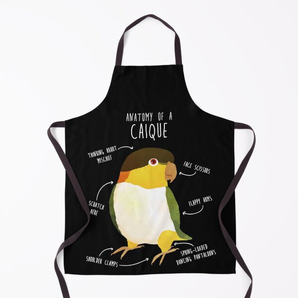 Item preview, Anatomy of a Black-Headed Caique designed and sold by Clara Hollins.
