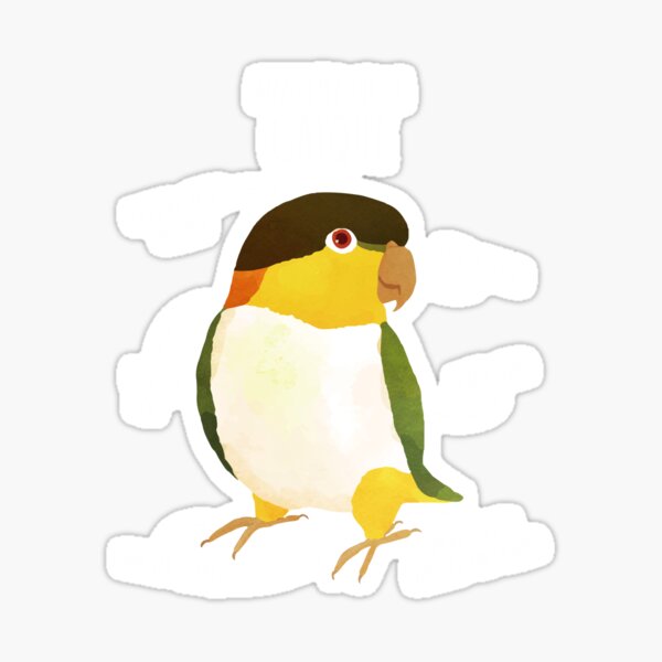 Item preview, Anatomy of a Black-Headed Caique designed and sold by Clara Hollins.