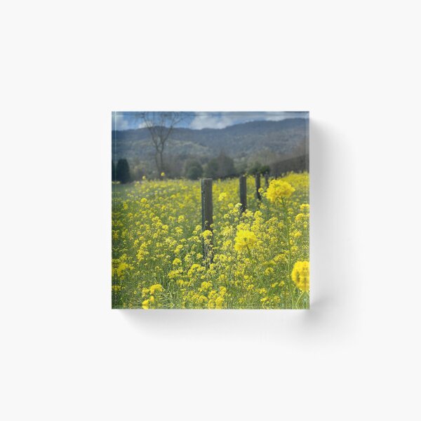 Item preview, Lemon Fields Forever designed and sold by Emilie Fauquet.