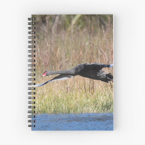 Item preview, Flight School designed and sold by byronbackyard.