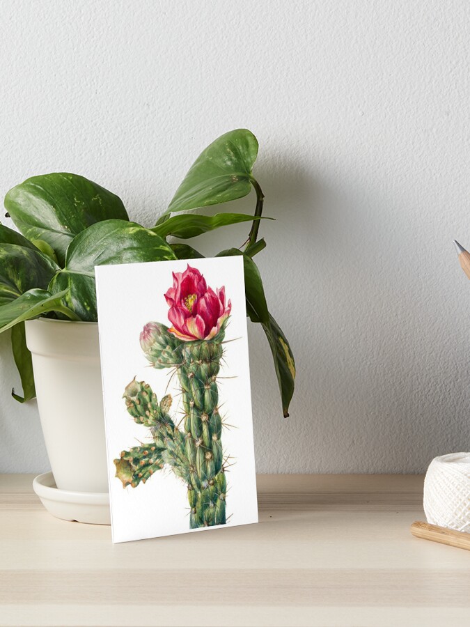 Una Mujer Fotografía A Las Flores En Una Rama De Cactus Saguaro