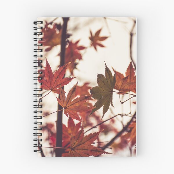 Item preview, Orange designed and sold by ladgrove.