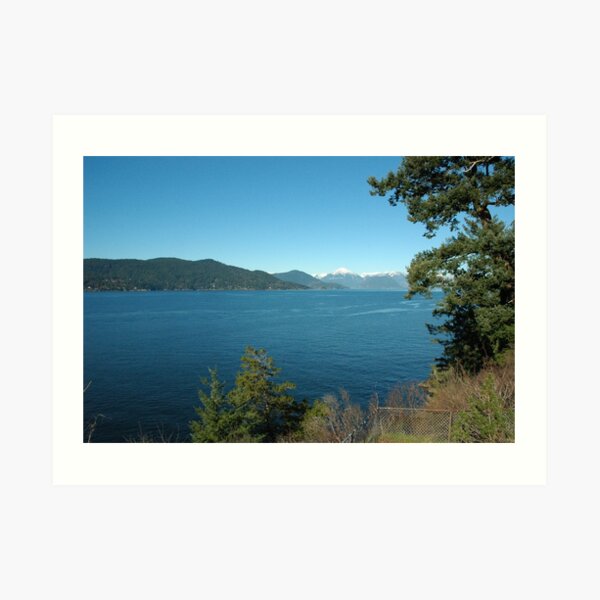 Just The Ocean Art Print