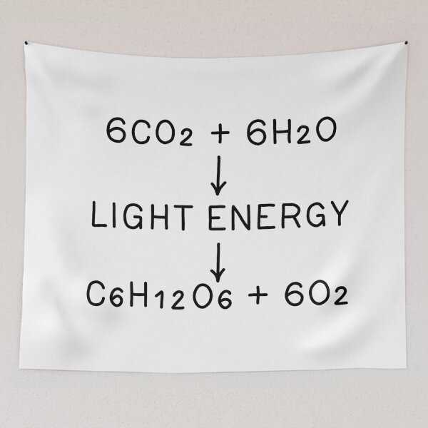 Item preview, Photosynthesis designed and sold by ValentinaHramov.