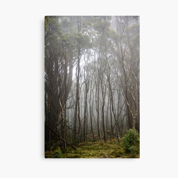 Item preview, Foggy Forest designed and sold by ladgrove.