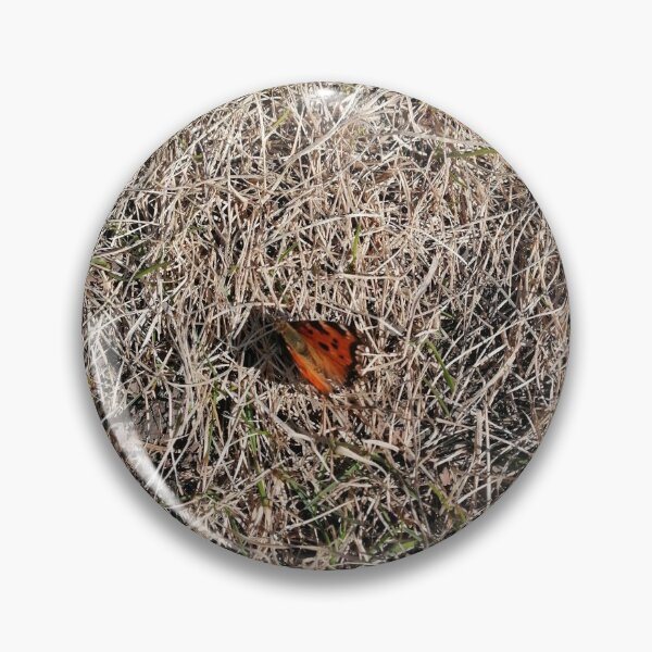 Item preview, First spring butterfly on dry grass designed and sold by Olga Kydryavskaya.