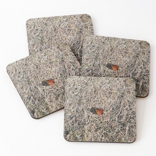 Item preview, First spring butterfly on dry grass designed and sold by Olga Kydryavskaya.