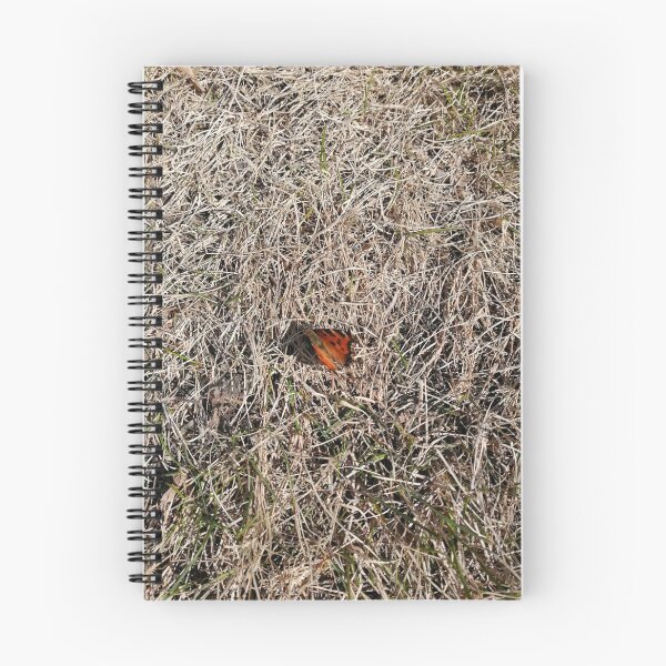 Item preview, First spring butterfly on dry grass designed and sold by Olga Kydryavskaya.