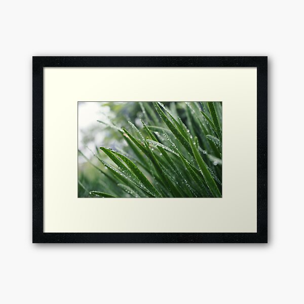 Chance of Rain Framed Art Print