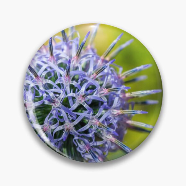 Artikelvorschau, Thistle entworfen und verkauft von alalchan.