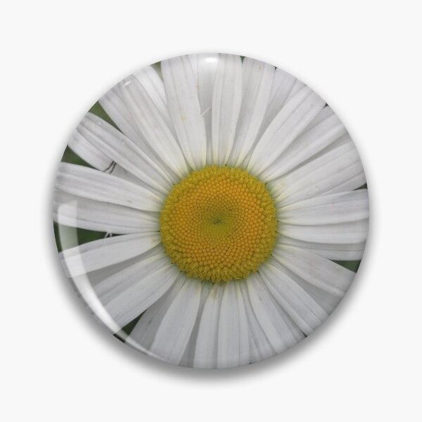Item preview, White daisy flower closeup designed and sold by Olga Kydryavskaya.