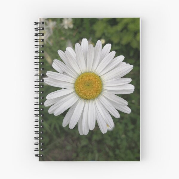 Item preview, White daisy flower closeup designed and sold by Olga Kydryavskaya.