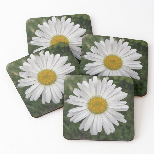 Item preview, White daisy flower closeup designed and sold by Olga Kydryavskaya.