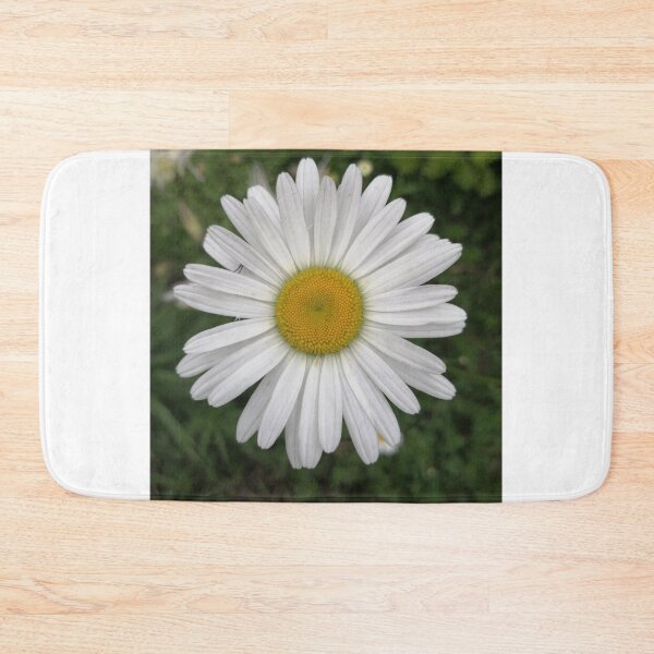 Item preview, White daisy flower closeup designed and sold by Olga Kydryavskaya.