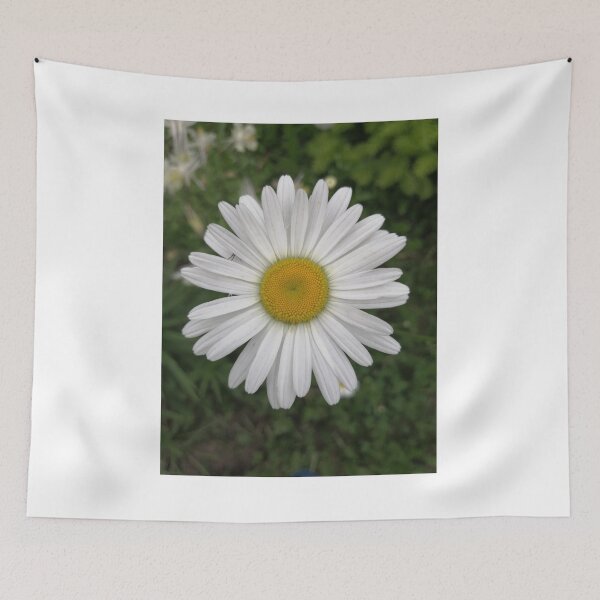 Item preview, White daisy flower closeup designed and sold by Olga Kydryavskaya.