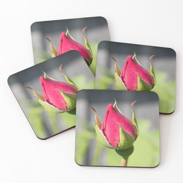 Item preview, Pink Rose designed and sold by alalchan.