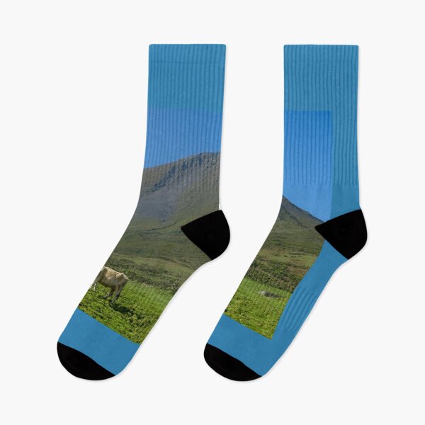 Item preview, Cute and funny looking cows with a great view over Pico mountains, during hiking trail at the Azores island Pico, highest mountain of Portugal. designed and sold by AylaHarbich.