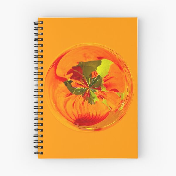 Item preview, Orange in the globe designed and sold by Robert Gipson.
