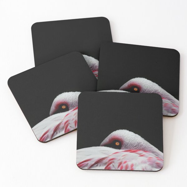 Item preview, Flamingo stare  designed and sold by DylanKaiii.