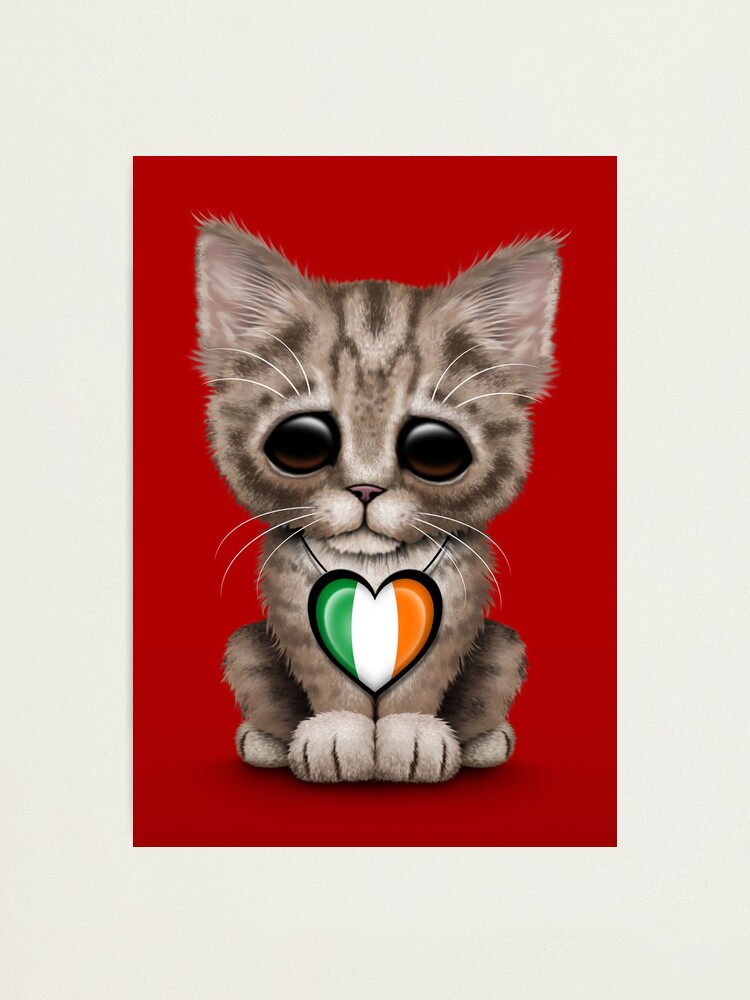 Impression Photo Chat Mignon Chaton Avec Coeur De Drapeau Irlandais Par Jeffbartels Redbubble